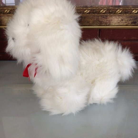 Adorable White Shaggy Dog - Picture 4 of 6